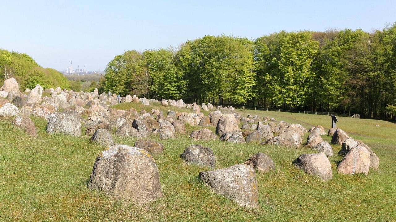 Photo of Others in Aalborg