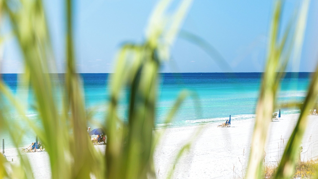 Photo of Others in Delos