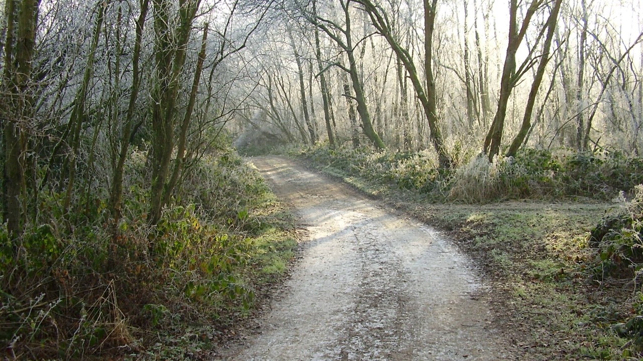 Photo of Others in Helfaut