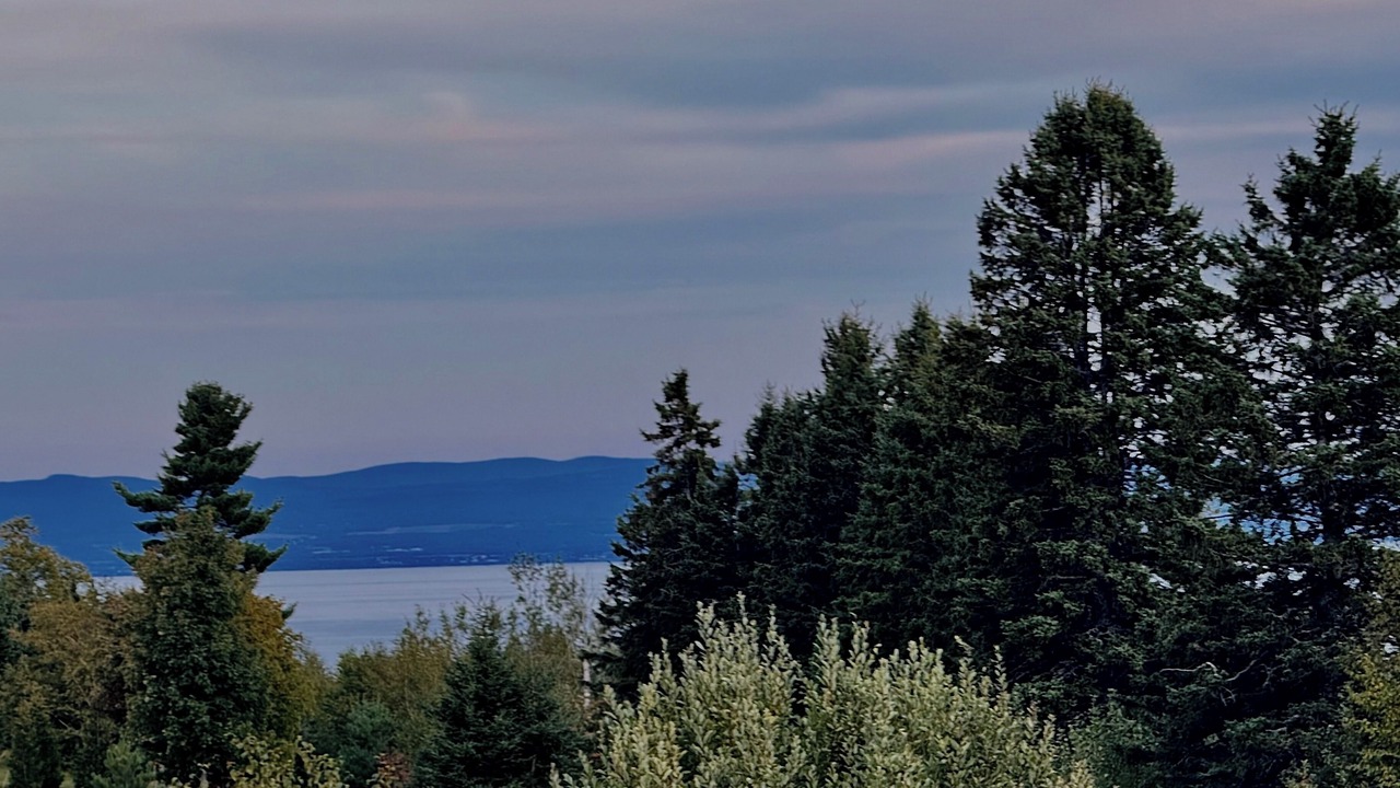 Photo of Others in Petite-Riviere-Saint-Francois