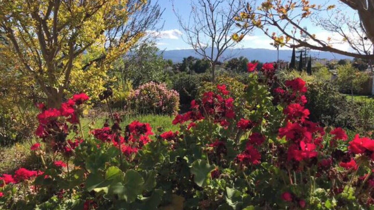 Photo of Outdoor in Edenvale