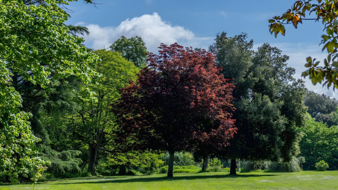 Photo of Others in Puybarban