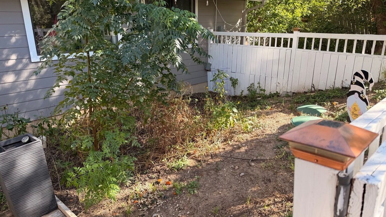 Photo of Outdoor in Apache Shores