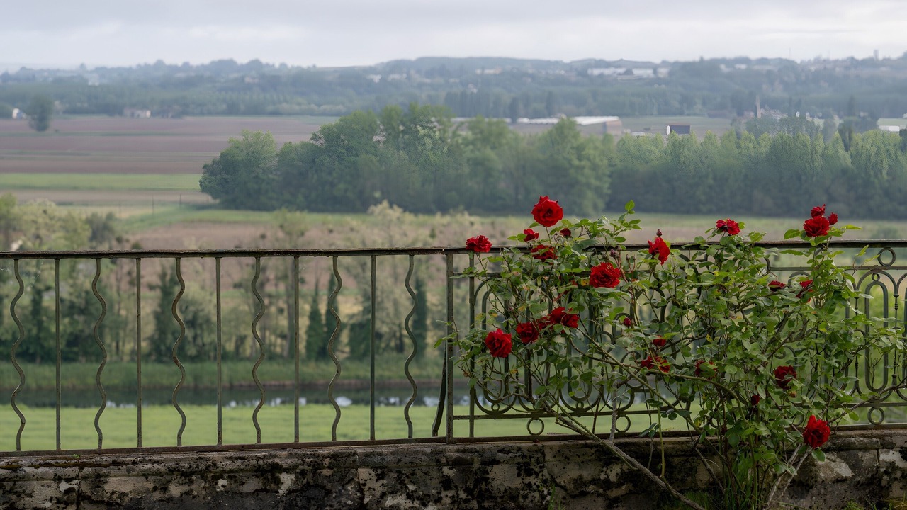 Photo of Outdoor in Puybarban