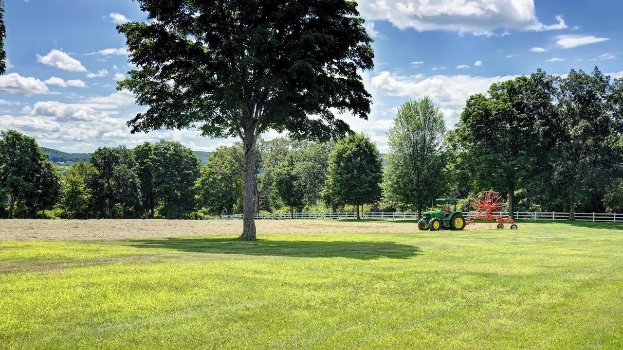 Photo of Others in Lakeville