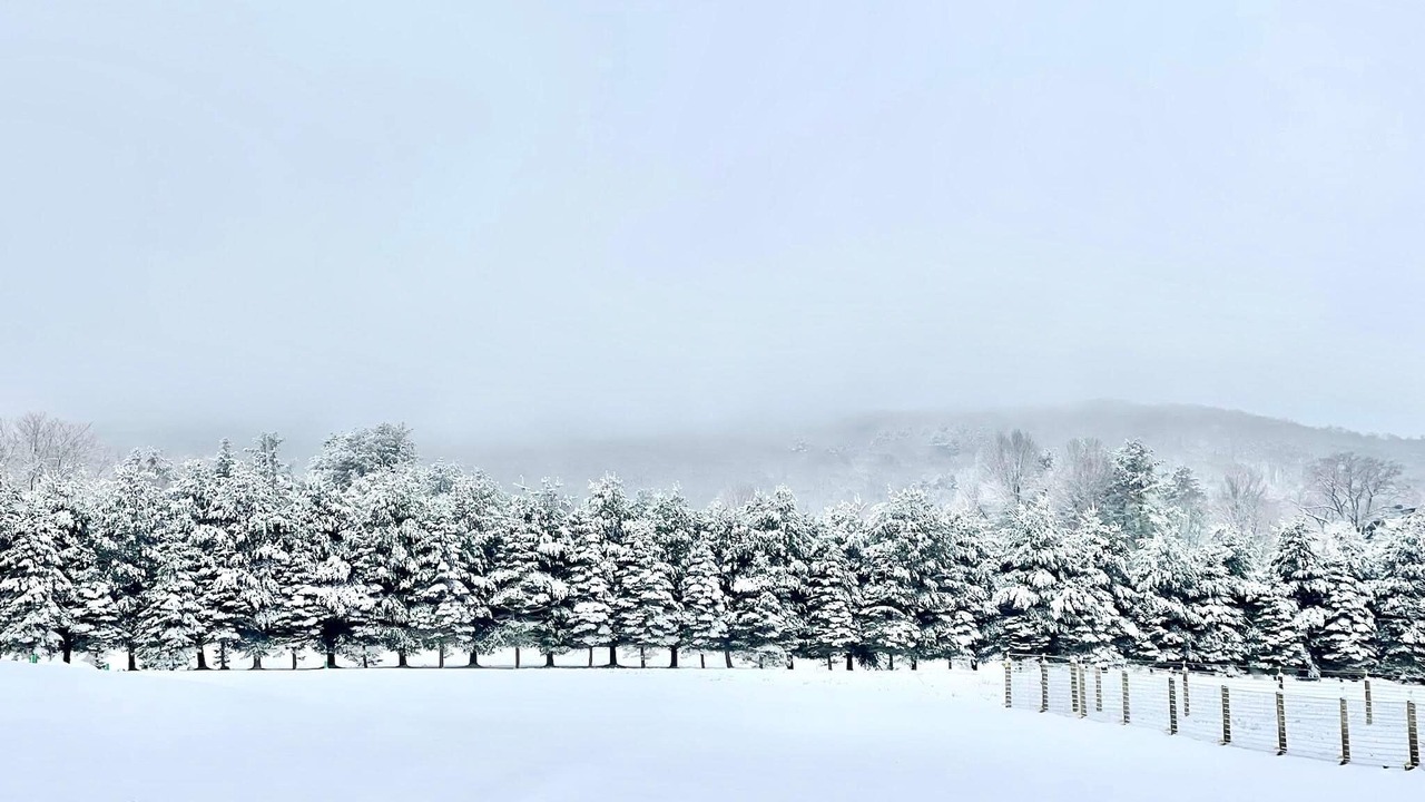 Photo of Others in Lakeville