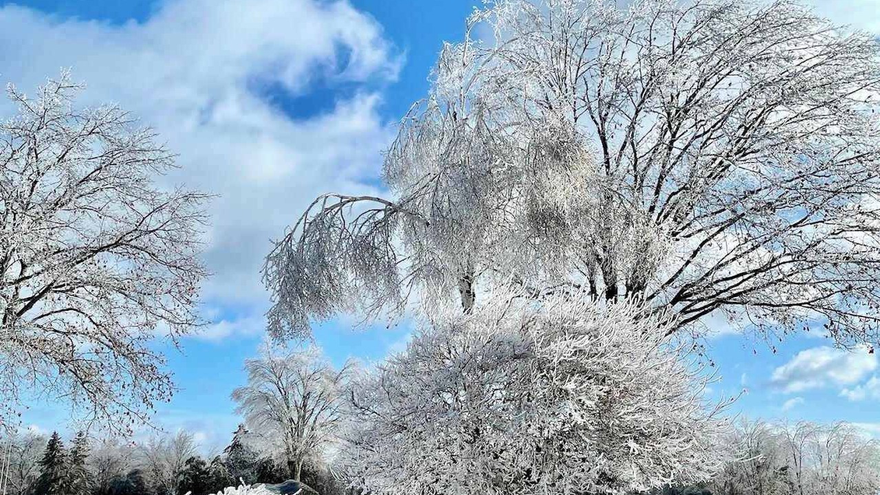 Photo of Others in Lakeville