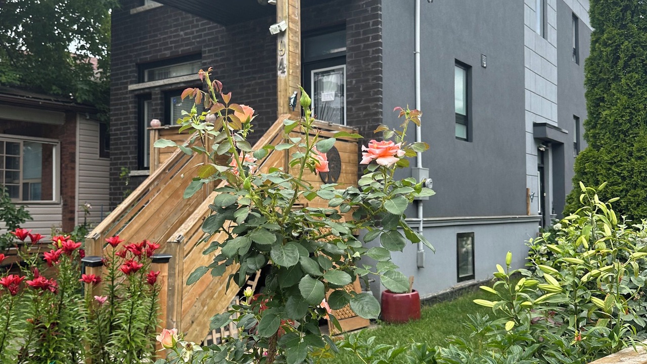 Photo of Outdoor in Oakridge