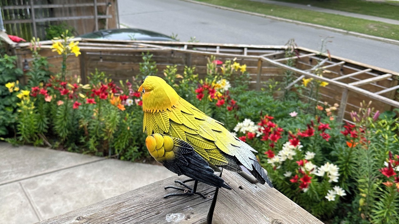 Photo of Outdoor in Oakridge