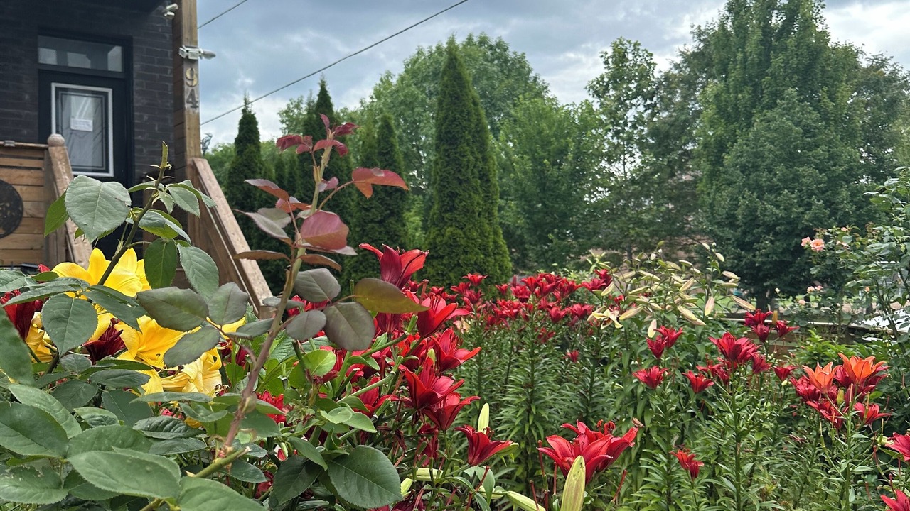 Photo of Outdoor in Oakridge