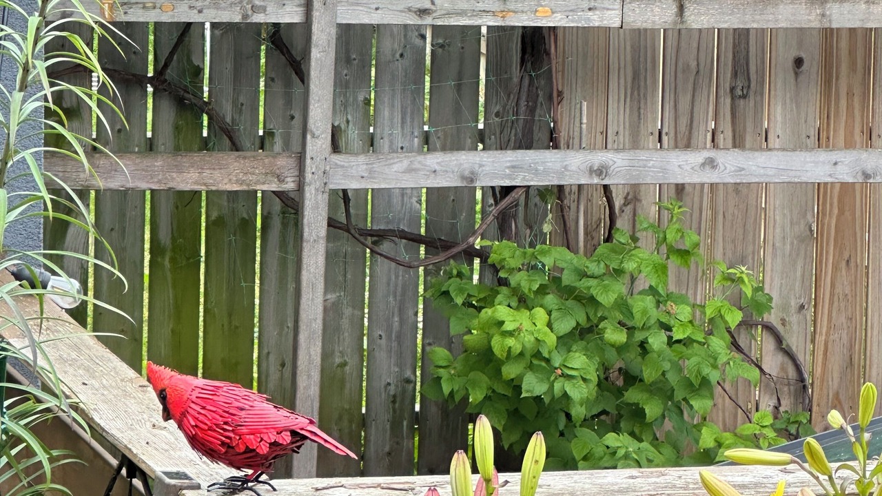 Photo of Outdoor in Oakridge