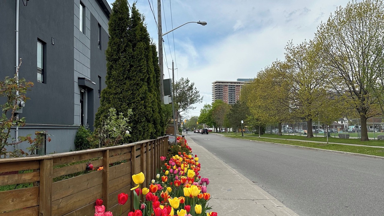Photo of Outdoor in Oakridge