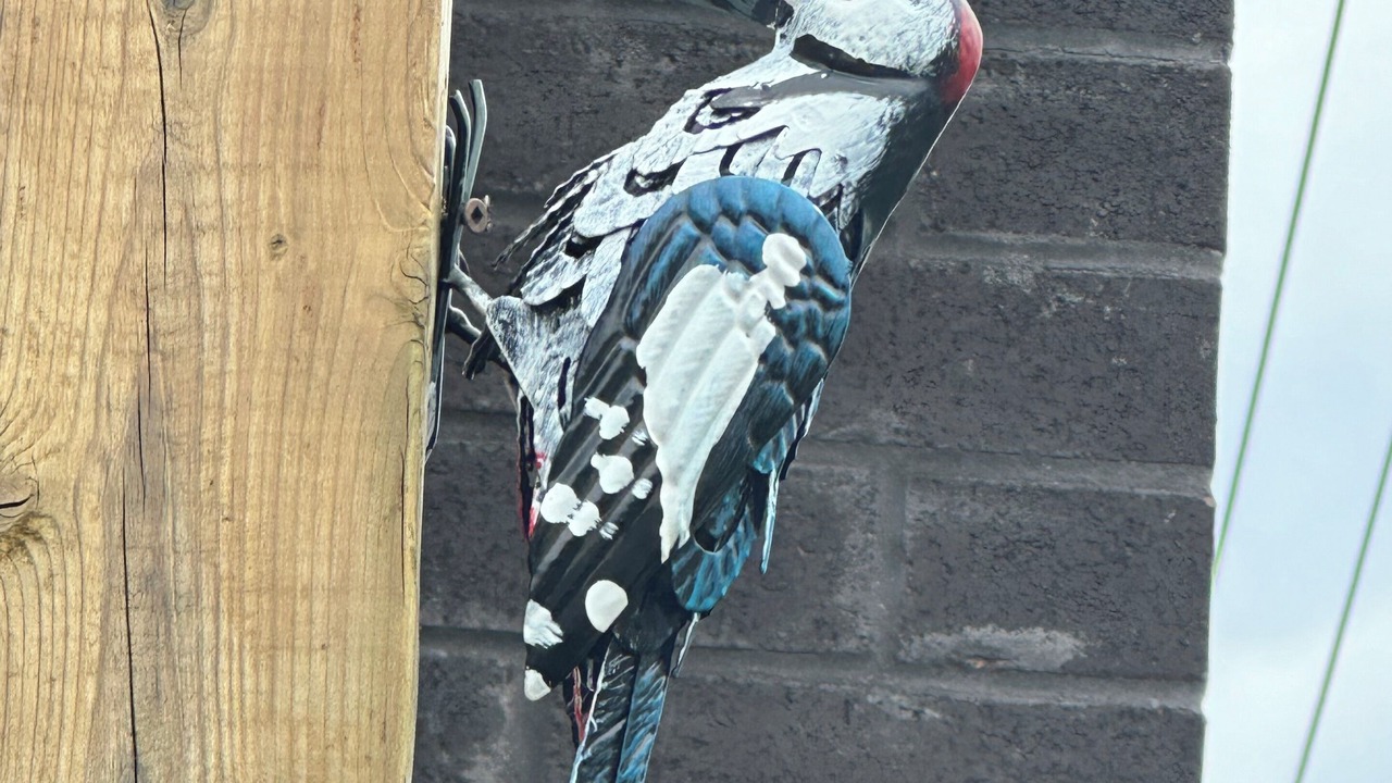 Photo of Outdoor in Oakridge