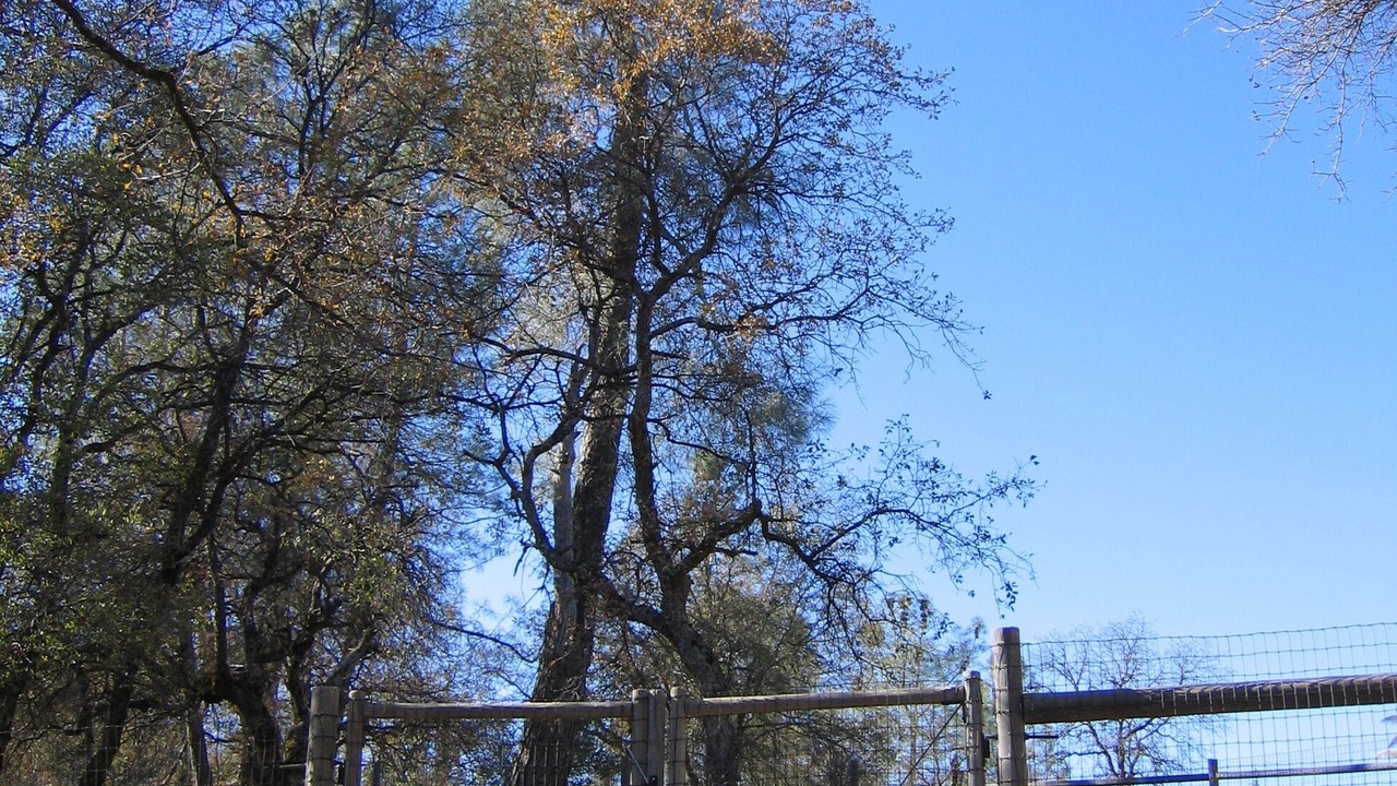 Photo of Others in Alta Sierra