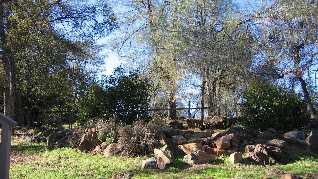 Photo of Outdoor in Alta Sierra