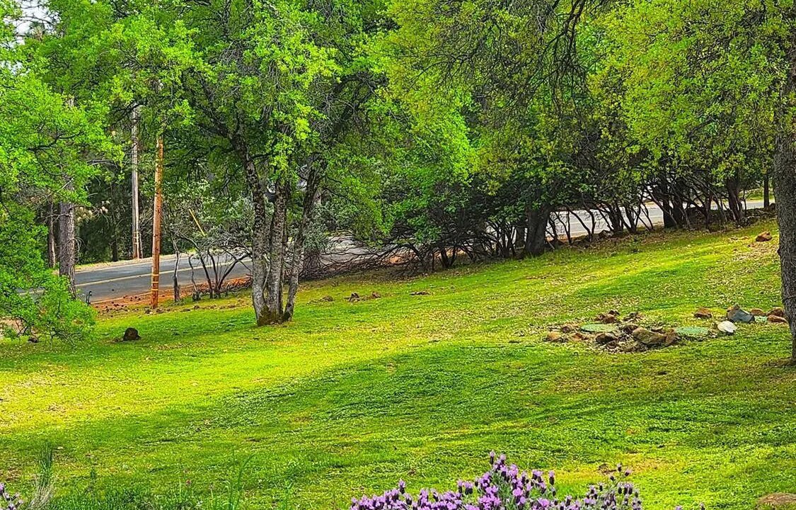 Photo of Outdoor in Alta Sierra