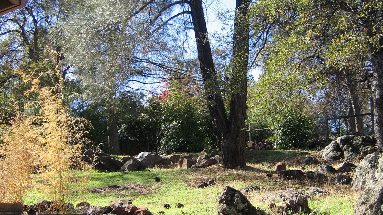 Photo of Outdoor in Alta Sierra