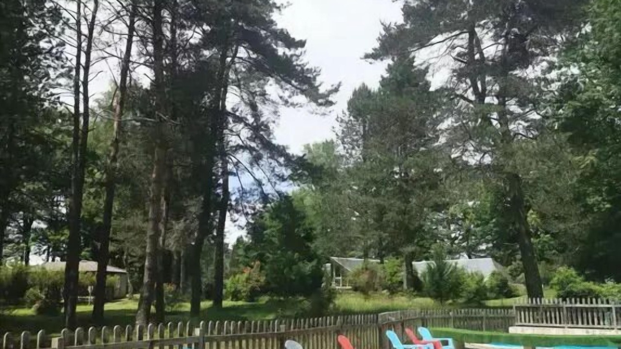 Photo of Outdoor in Palisse