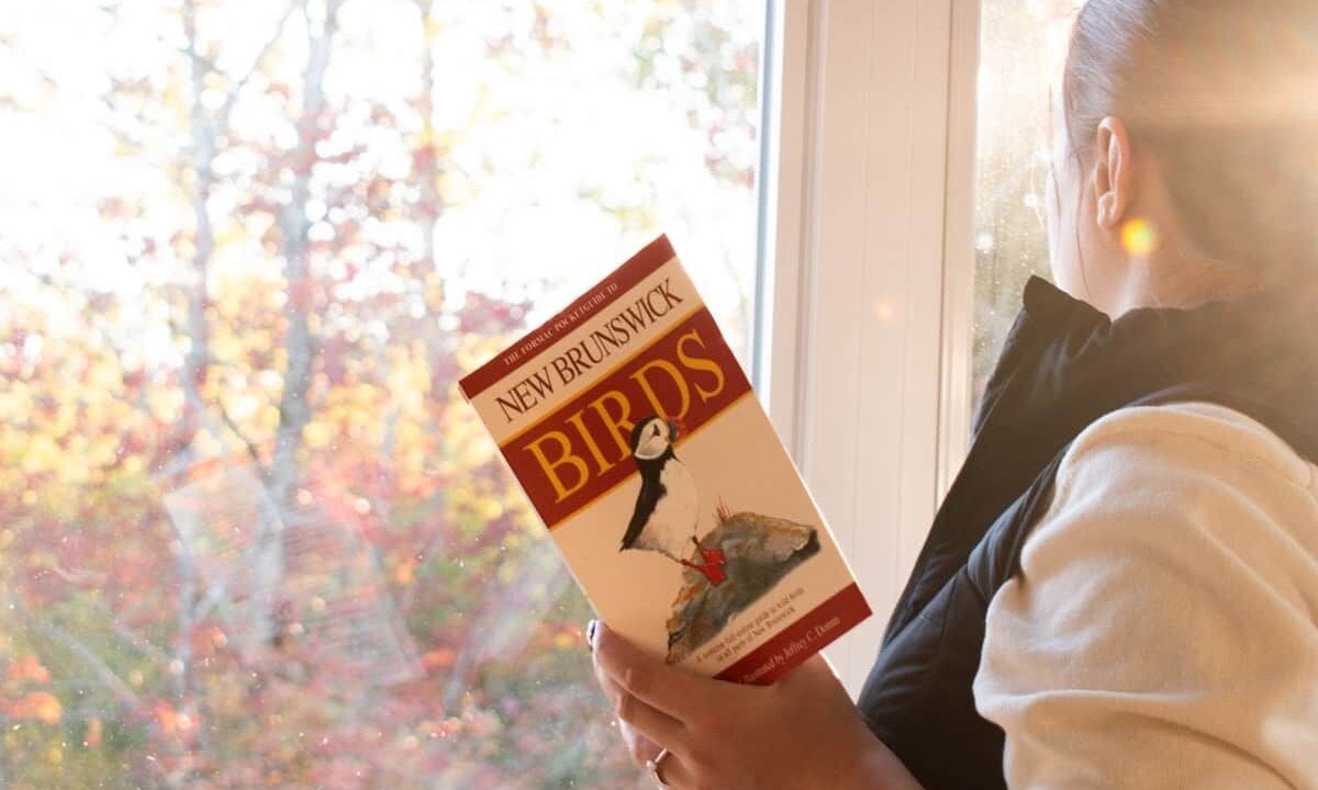 Photo of Others in Central Hainesville