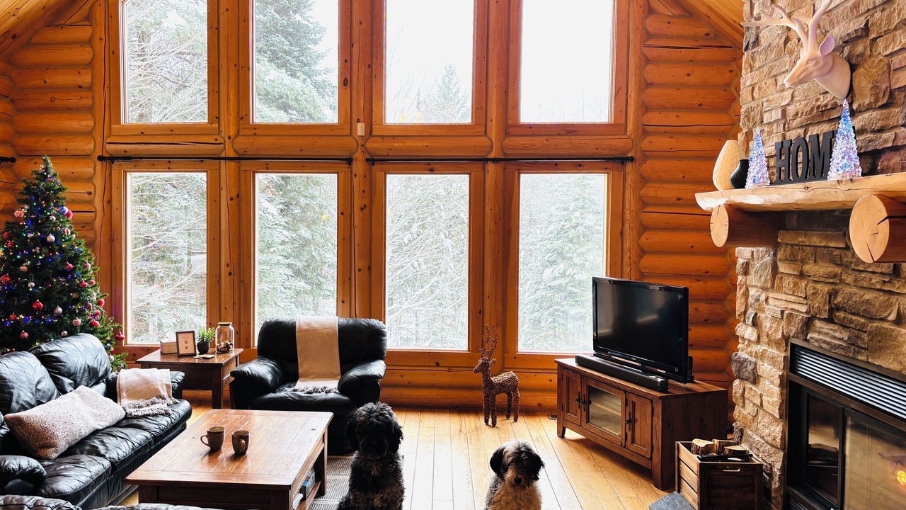 Photo of Livingroom in Fiddler Lake Resort