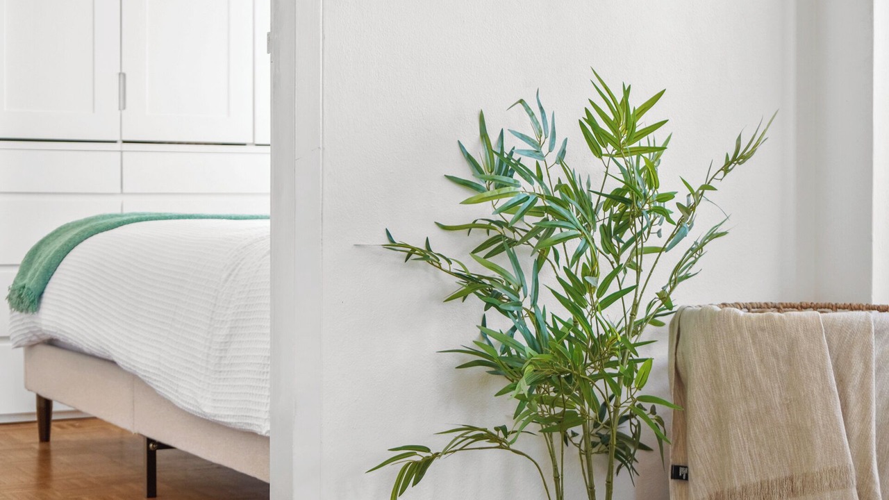 Photo of Bedroom in McMahons Point