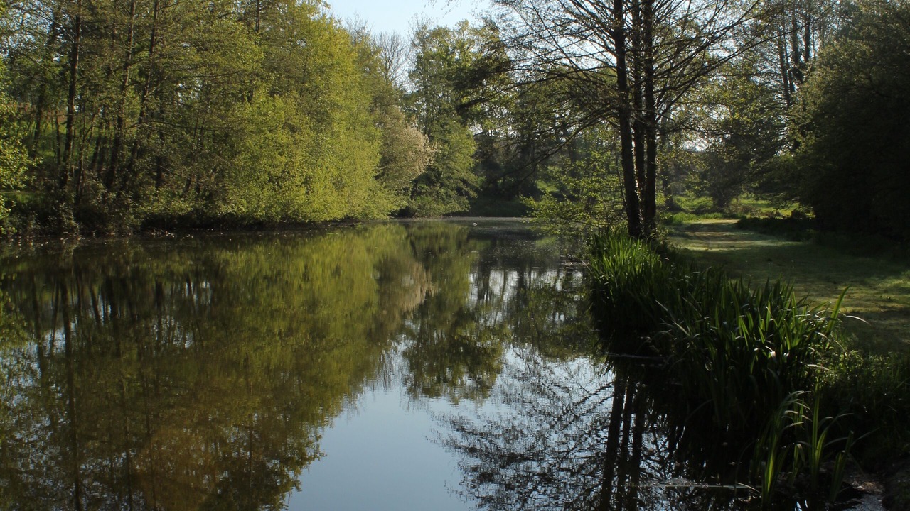 Photo of Others in Les Champs-Geraux