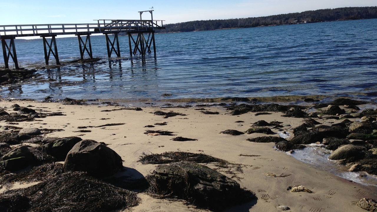 Photo of Others in East Boothbay