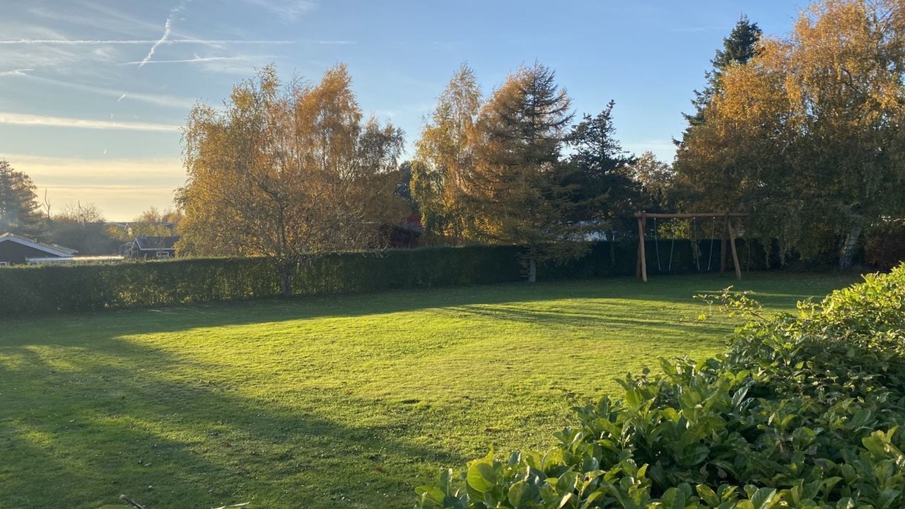 Photo of Others in Bog By