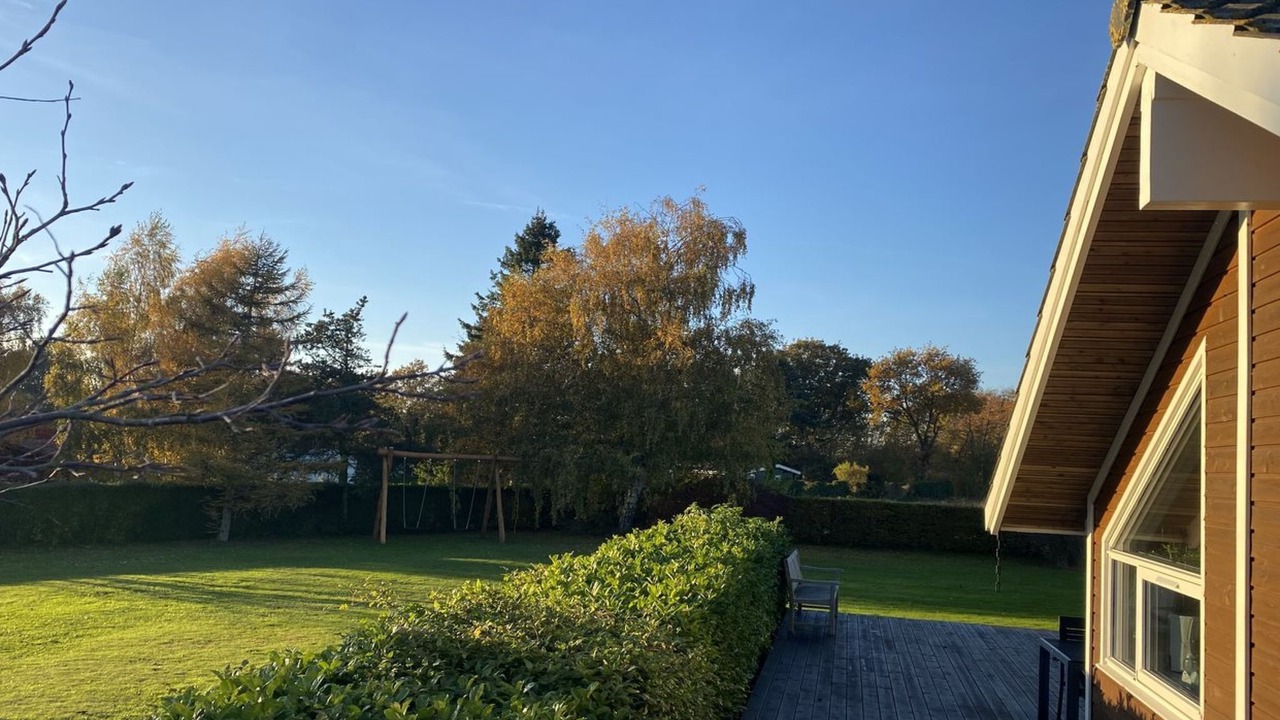 Photo of Others in Bog By