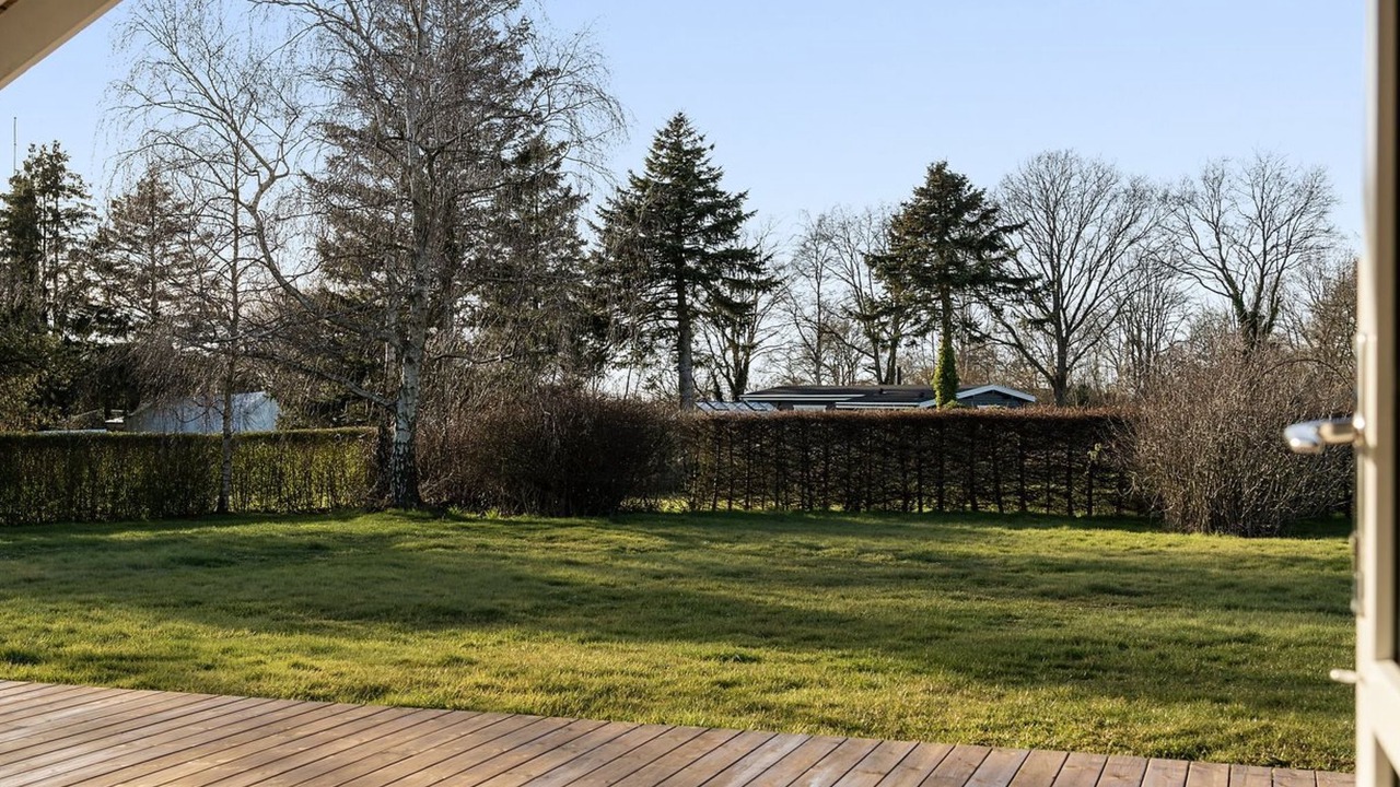 Photo of Others in Bog By