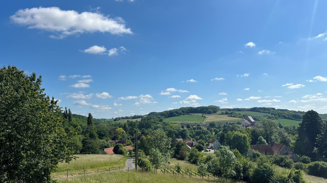 Photo of Others in Verdelot