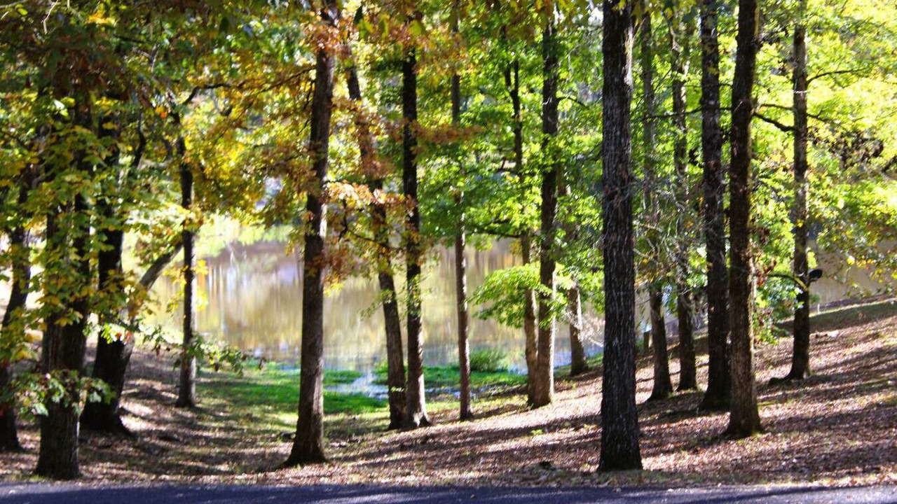 Photo of Outdoor in Mount Ida
