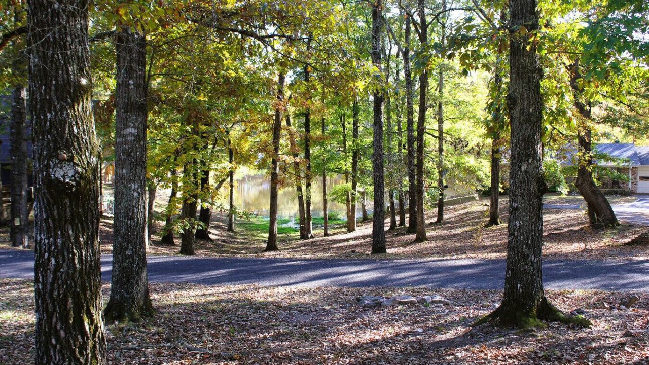 Photo of Outdoor in Mount Ida