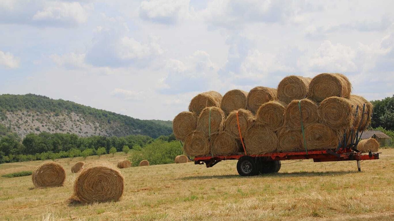 Photo of Others in Lanzac