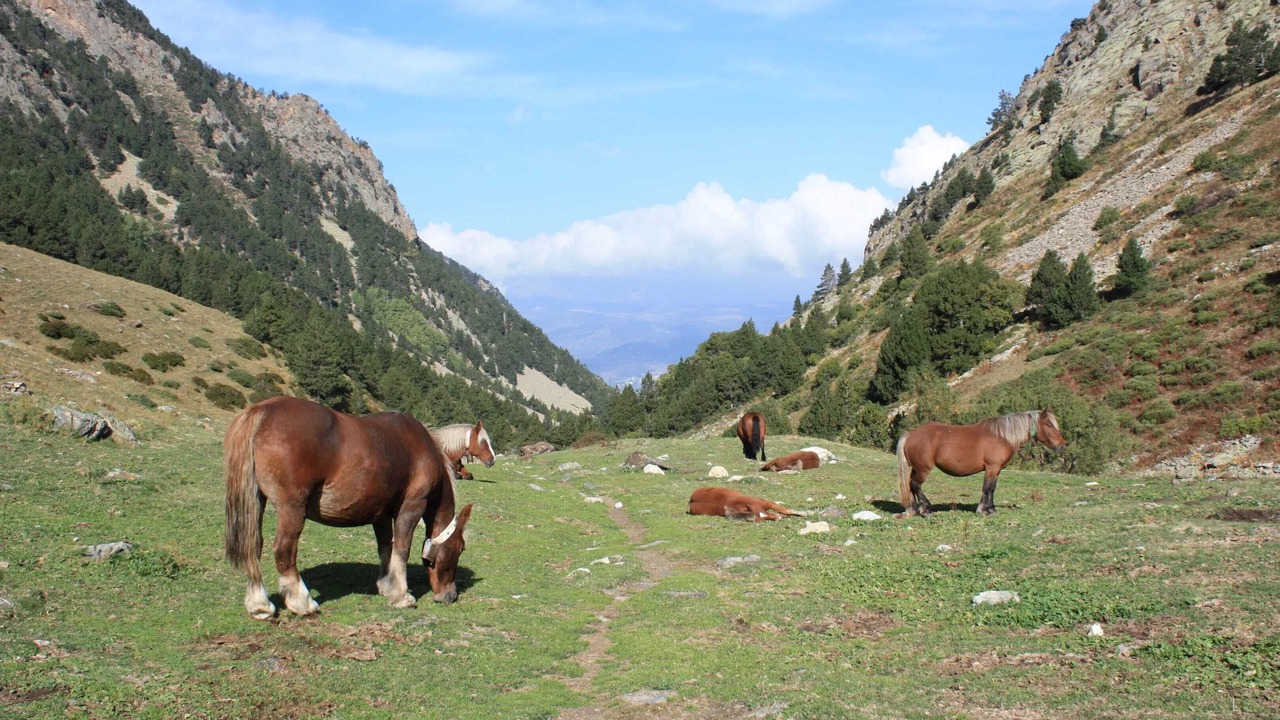 Photo of Others in Estavar