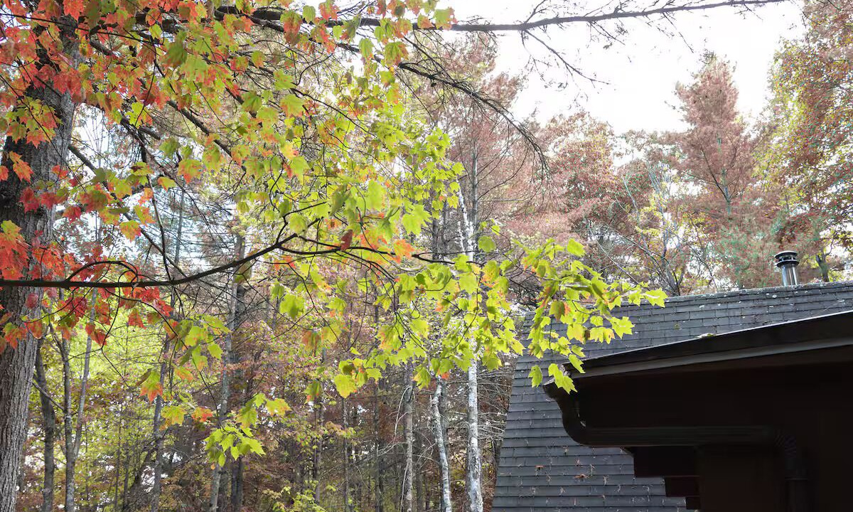 Photo of Outdoor in Jay