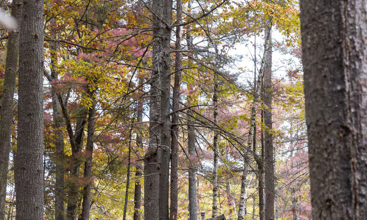Photo of Outdoor in Jay