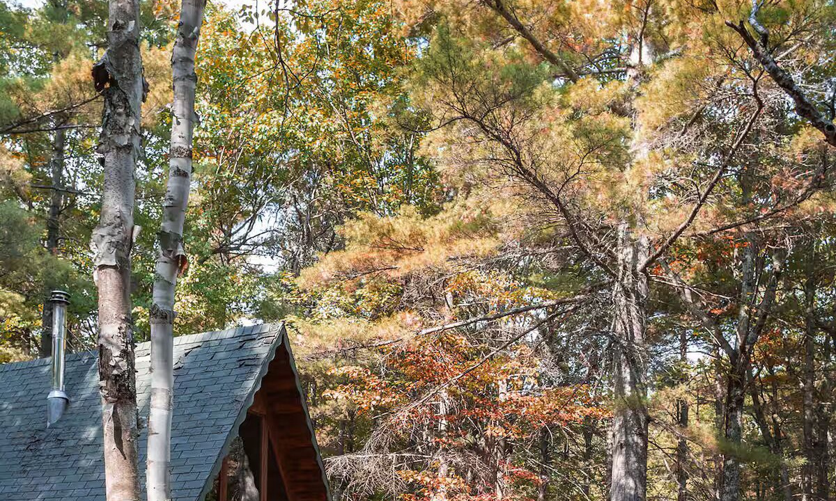 Photo of Outdoor in Jay