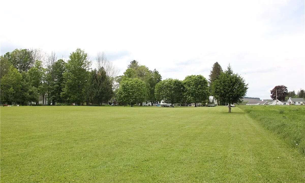 Photo of Others in Hamilton