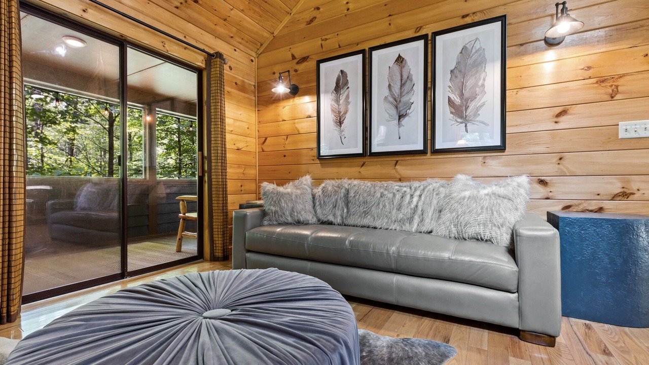 Photo of Livingroom in Blue Ridge
