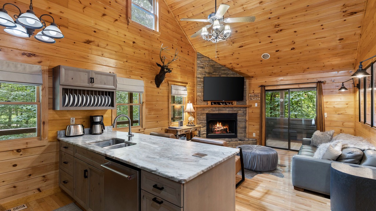 Photo of Livingroom in Blue Ridge