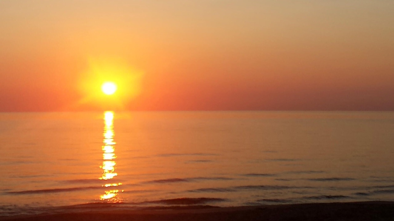 Photo of Others in Platja de Piles