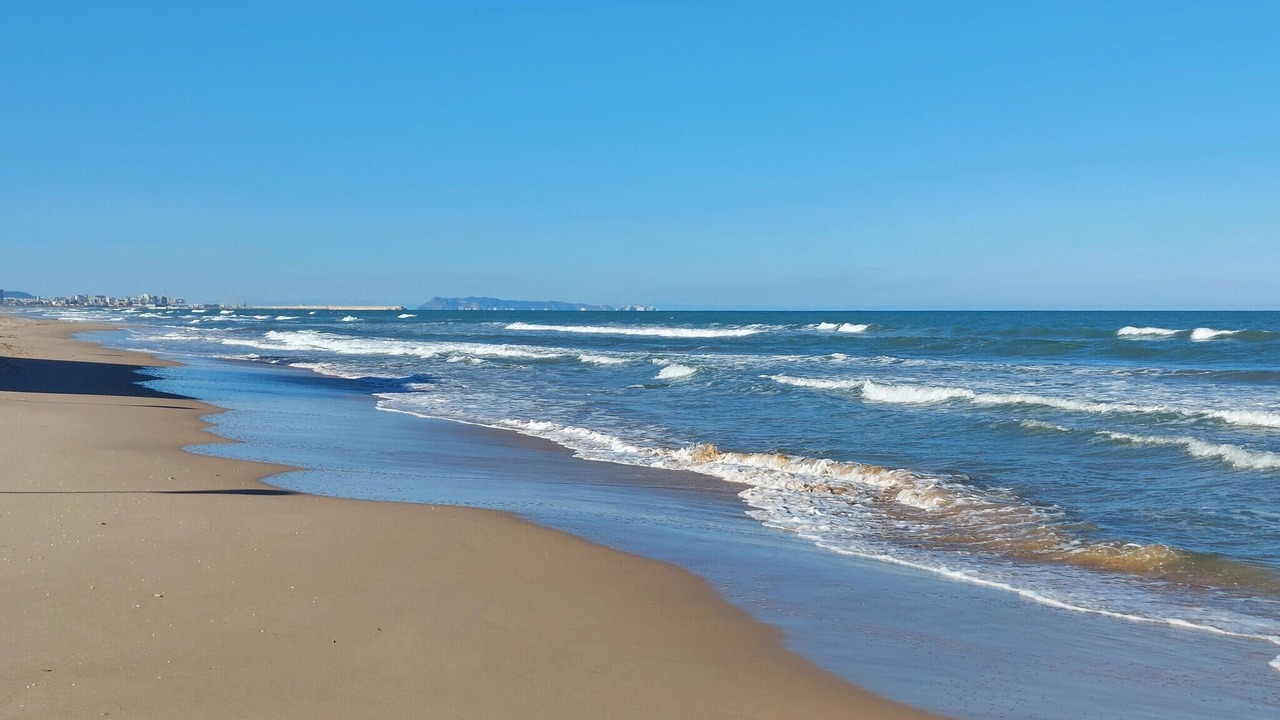 Photo of Others in Platja de Piles