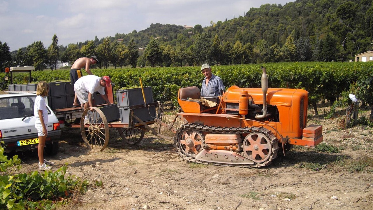Photo of Others in Limoux
