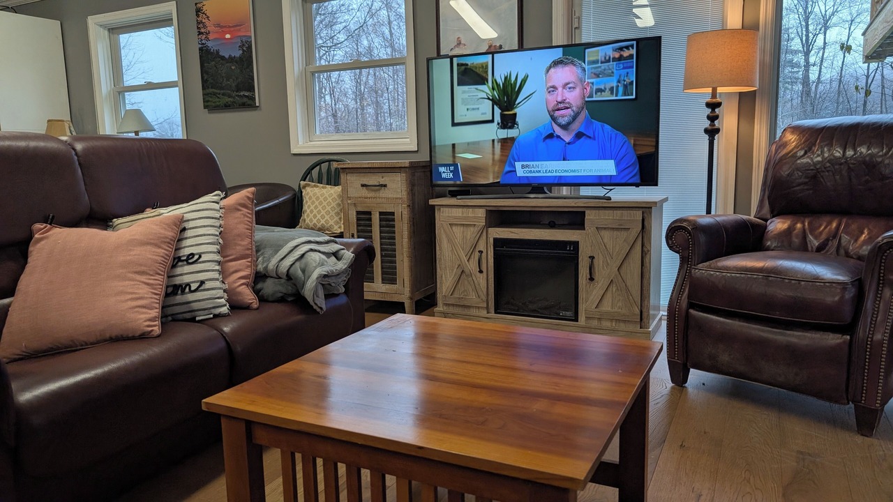Photo of Livingroom in East Haven  Rutland County