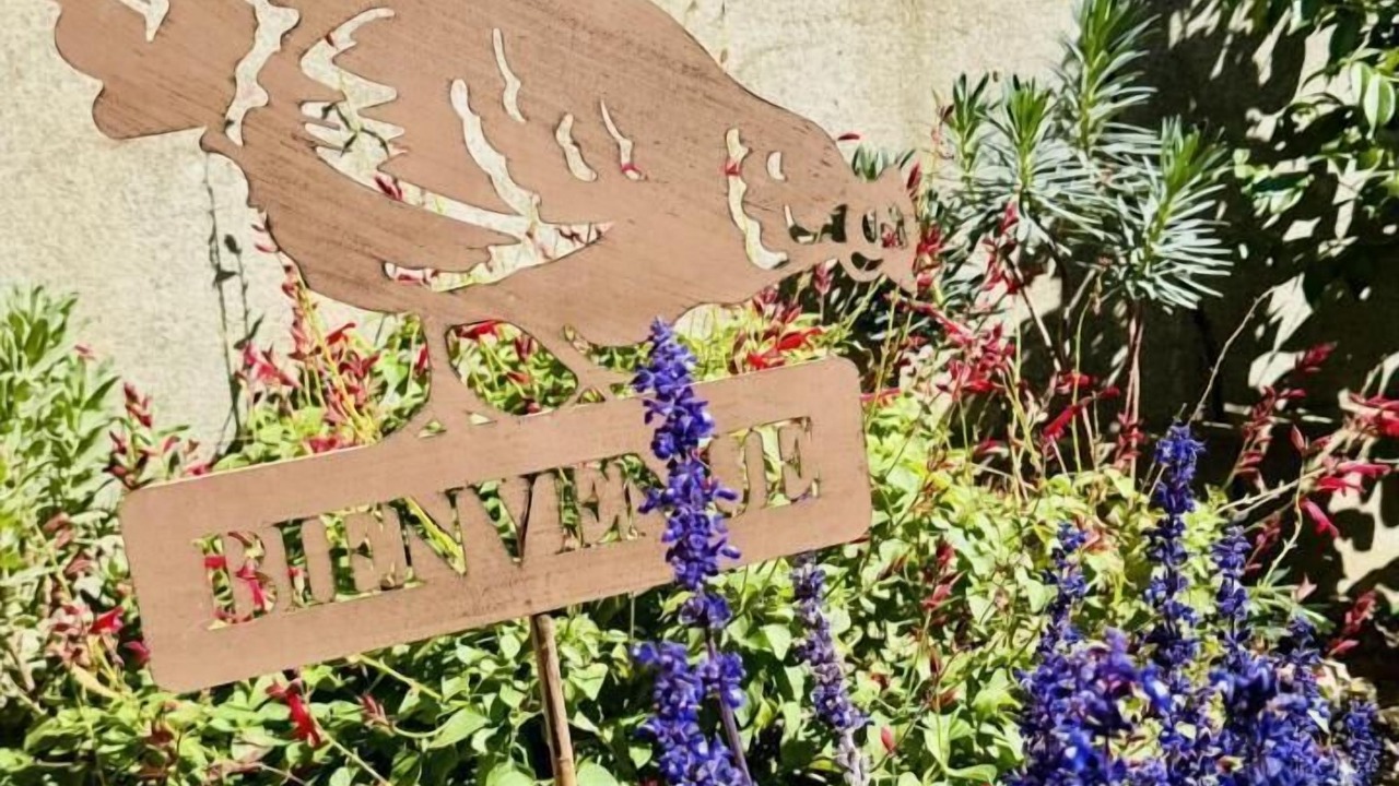 Photo of Outdoor in Trassanel