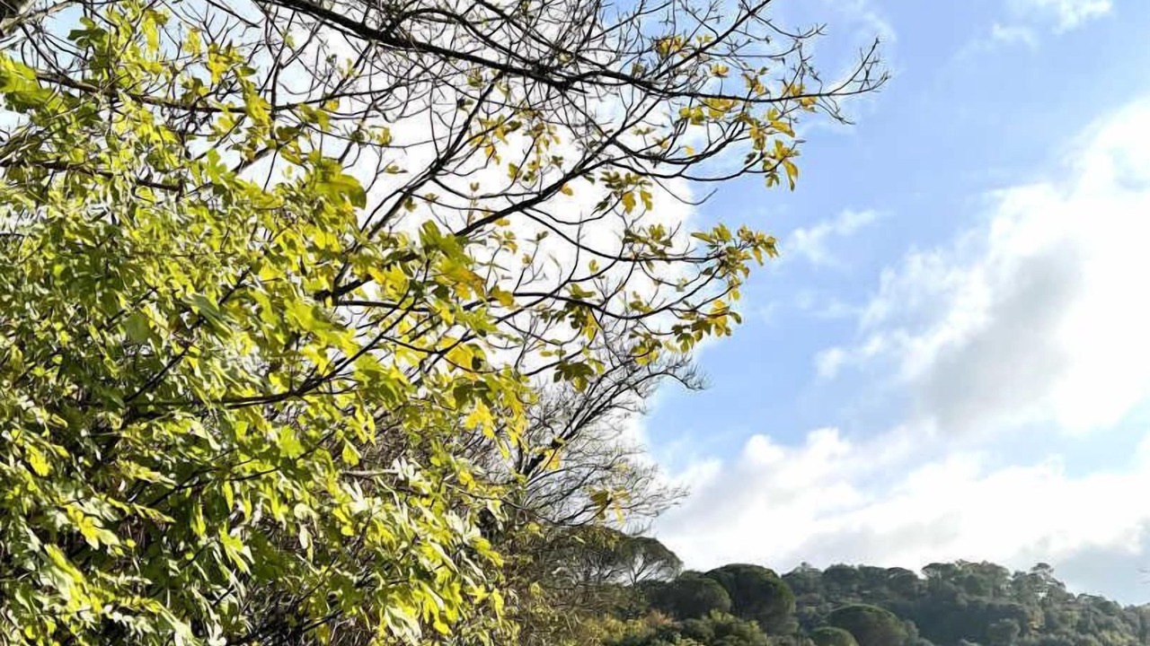 Photo of Others in Alzonne