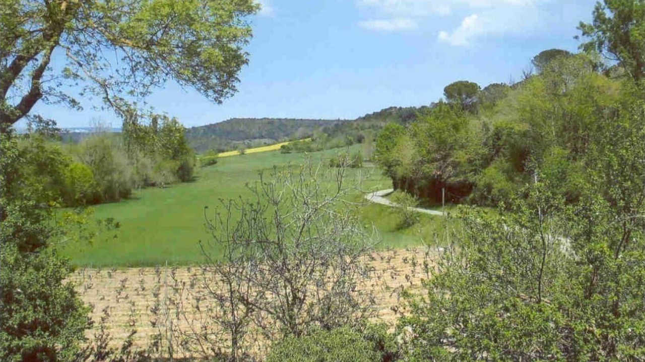 Photo of Others in Alzonne