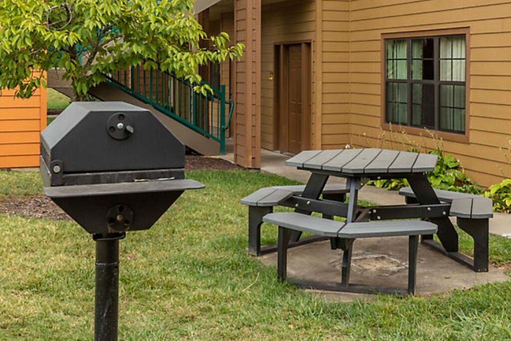 Photo of Outdoor in Angels Camp