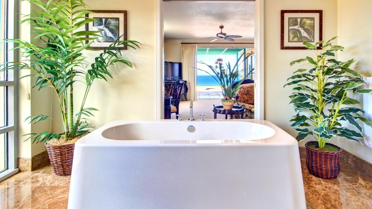 Photo of Others in Kaanapali